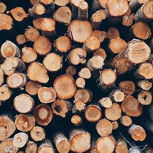 Holz von Hier; Bild von Pexels auf Pixabay