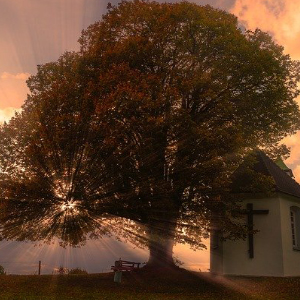 Sonne bricht durch Wolken mit Kirche und Baum im Vordergrund; von Lars Nissen auf Pixabay