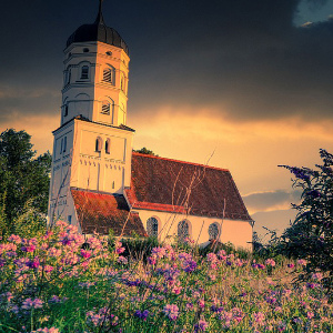 Blumenwiese vor Kirche; Bild von Albrecht Fietz auf Pixabay