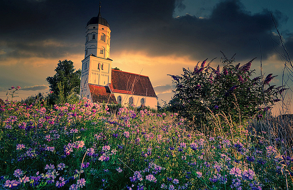 Blumenwiese vor Kirche; Bild von Albrecht Fietz auf Pixabay