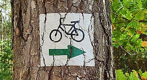 Ein Fahrrad Hinweisschild an einem Baum