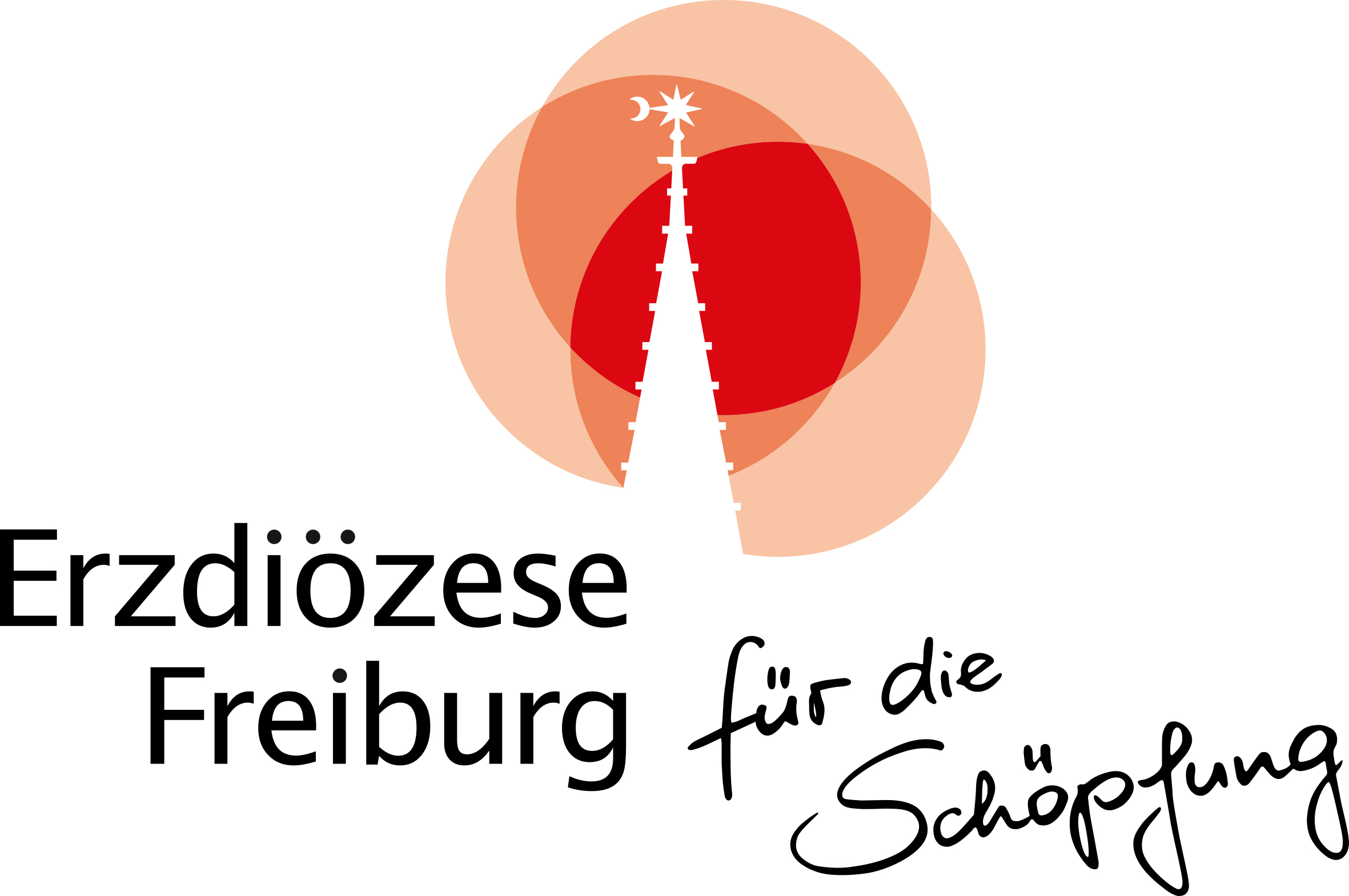 erzd FR schoepfungs logo ohneclaim RGB