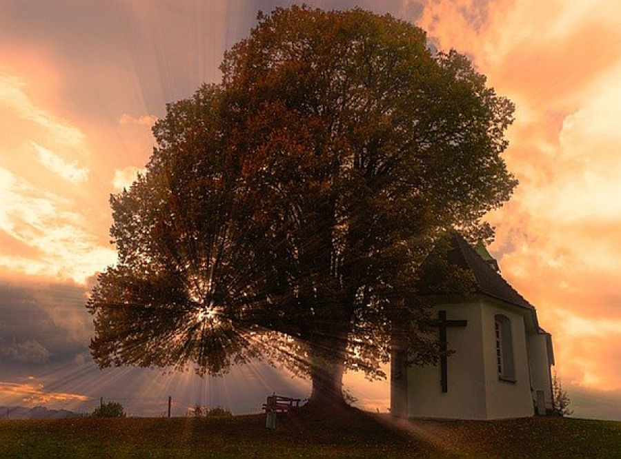 Sonne bricht durch Wolken mit Kirche und Baum im Vordergrund; von Lars Nissen auf Pixabay