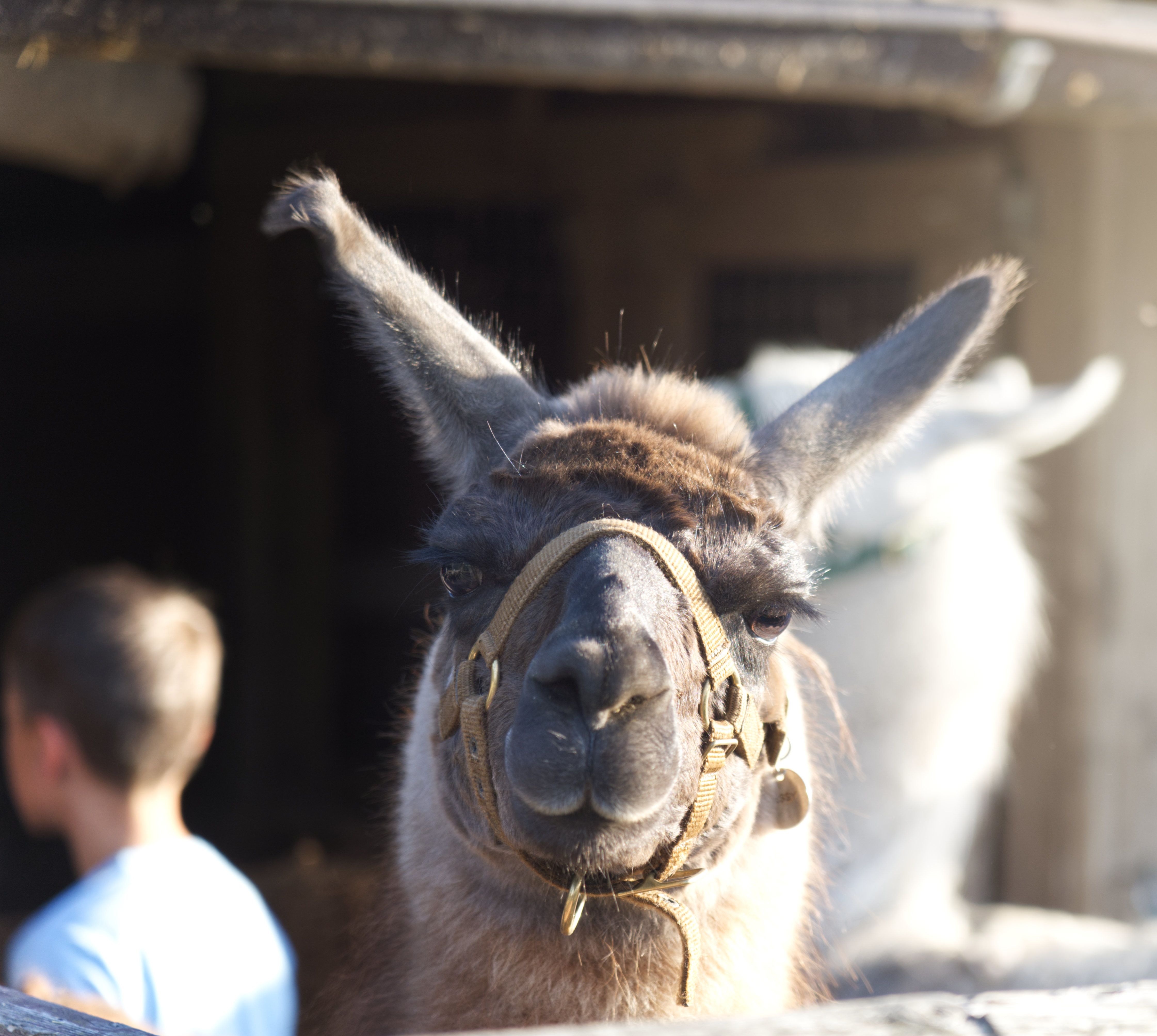 Foto: Katrin Liesch, www.selbtsgemacht.eu