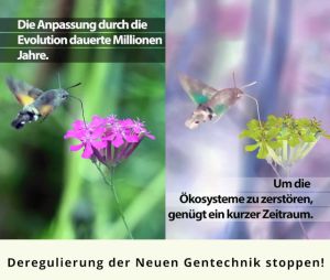 images/beitragsbilder/themen-a-z/l-land-forstwirtschaft/2026_Plakat-Mitmachaktion-NGT.jpg#joomlaImage://local-images/beitragsbilder/themen-a-z/l-land-forstwirtschaft/2026_Plakat-Mitmachaktion-NGT.jpg?width=2631&height=3720