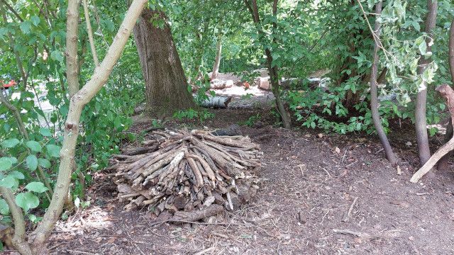 Totholzhaufen im umgestalteten Garten