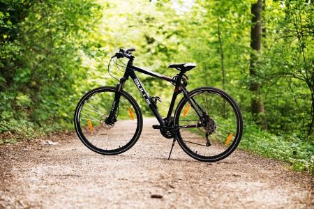 Fahrrad im Wald; Bild von Pexels auf Pixabay