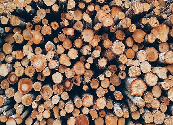 Holz von Hier; Bild von Pexels auf Pixabay
