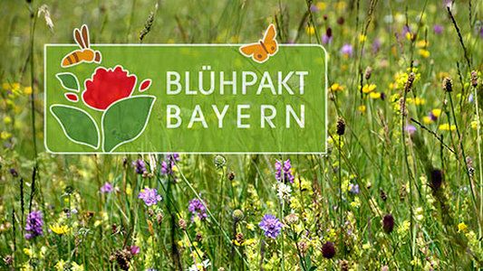 Eine Blumenwiese mit dem Logo des Blühpakt Bayern - copyright Webseite Blühpakt Bayern