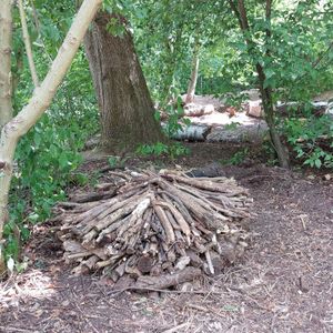 Totholzhaufen im umgestalteten Garten