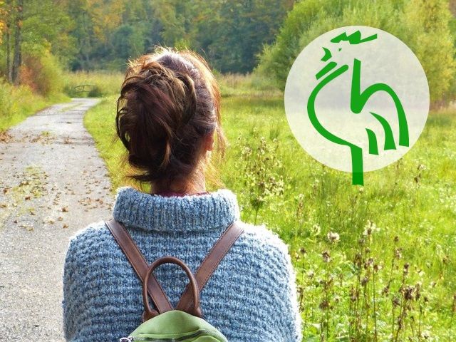 Logo Grüner Gockel: Kirchliches Umweltmanagement nachhaltig, umweltgerecht, glaubwürdig