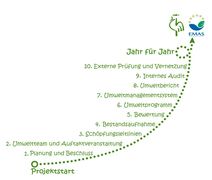 Grafik mit den 10 Schritten zum Grünen Gockel