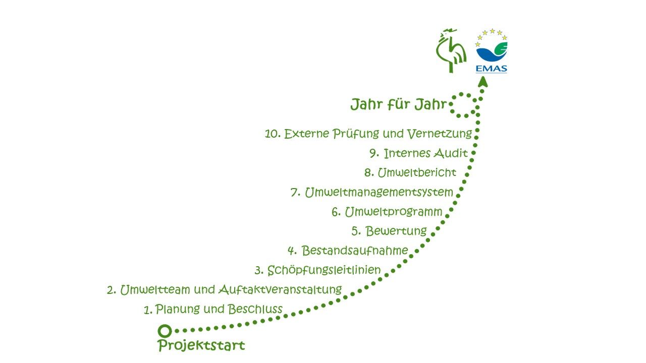 Grafik mit den 10 Schritten zum Grünen Gockel